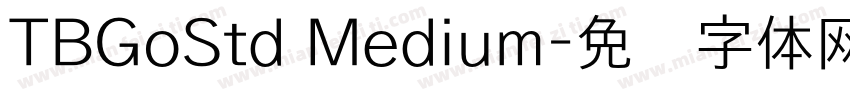 TBGoStd Medium字体转换